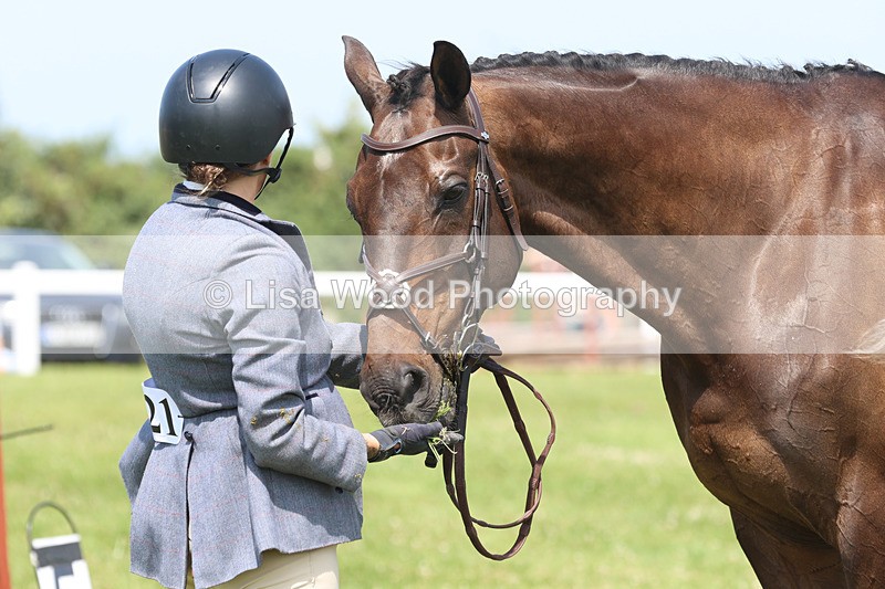 JPP_3381 - Class 22: Working Hunter 70cm