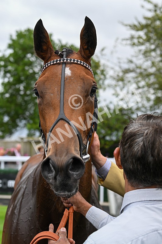 150824-Race 2-Greek Gift-7716 - Race 2