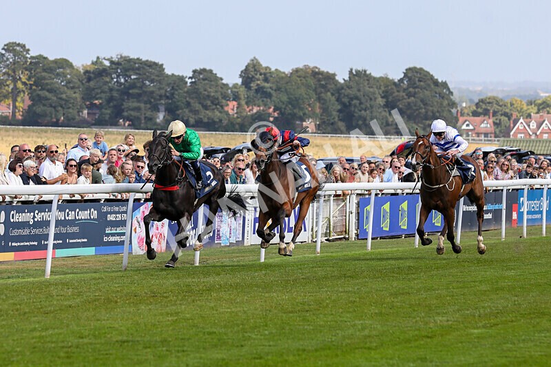 310824-Race 1-Quietness-0962 - Race 1