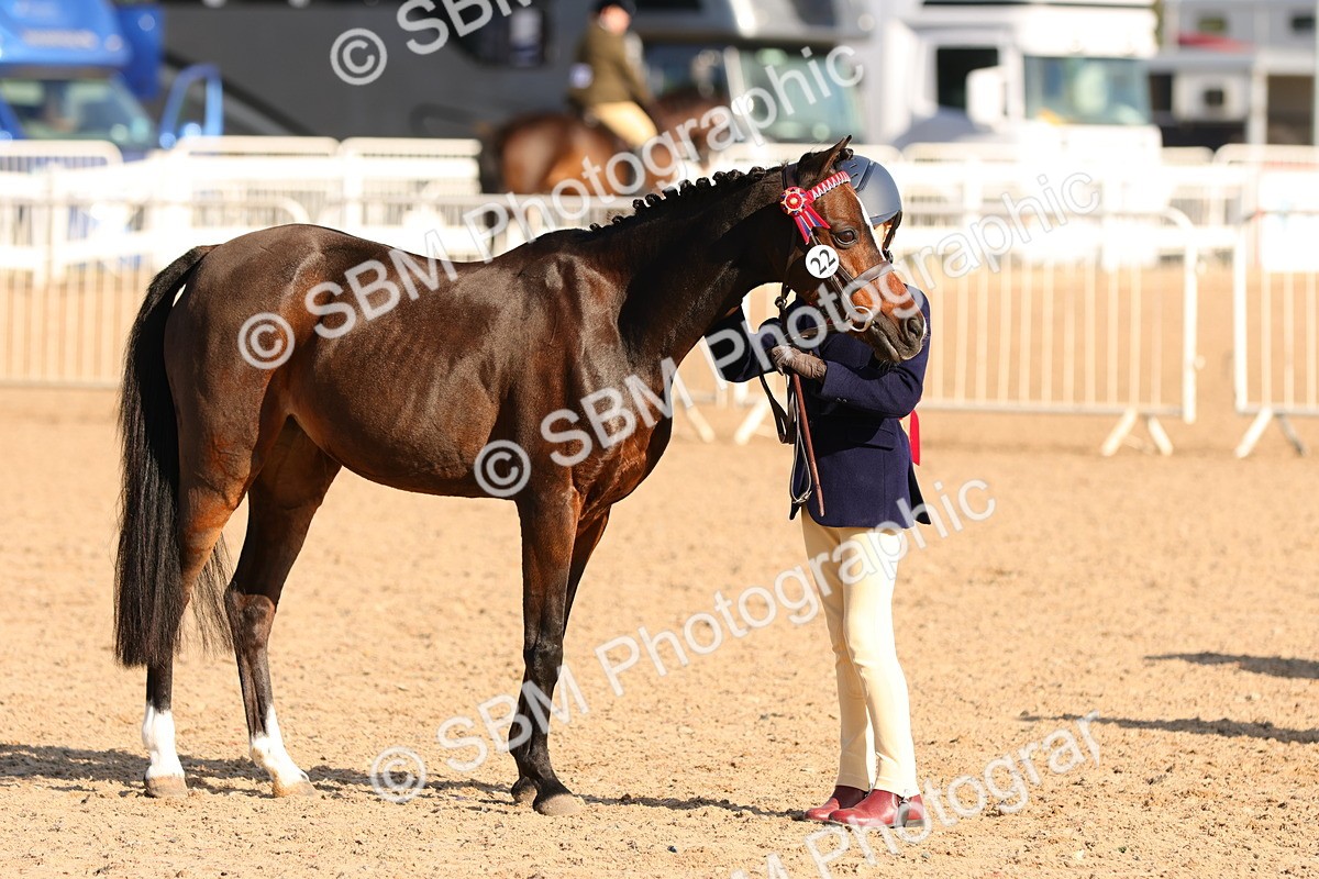 SBM_08663 - Class 203 - Young Handler 10 Years and Under
