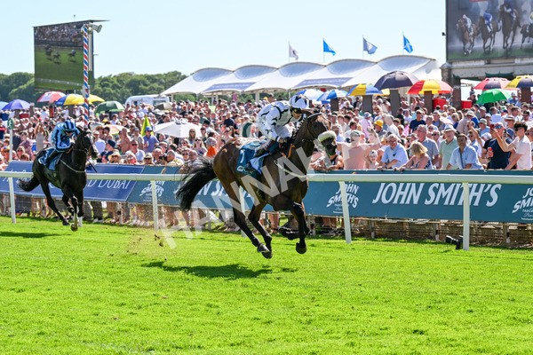 120725-Race 4-Al Qareem-0338 - Race 4 3.45pm John Smith's Silver Cup Stakes