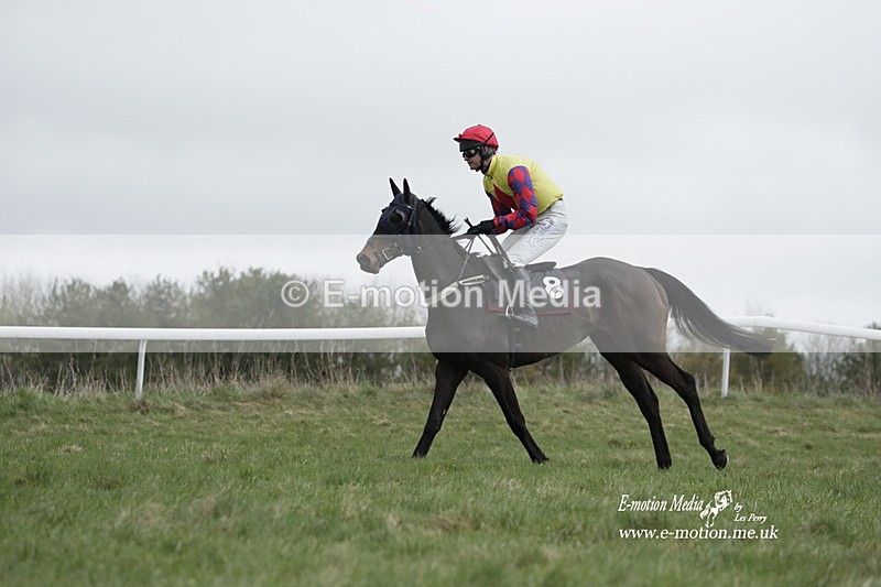 PtP 260323 0699 - New Forest Hounds Point-to-Point Larkhill 26/03/23