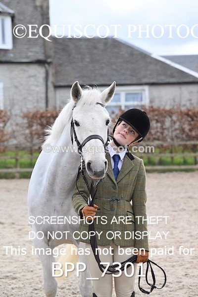 BPP_7301 - RING 1  (RIDDEN HORSES / IN HAND / VETERAN ETC)