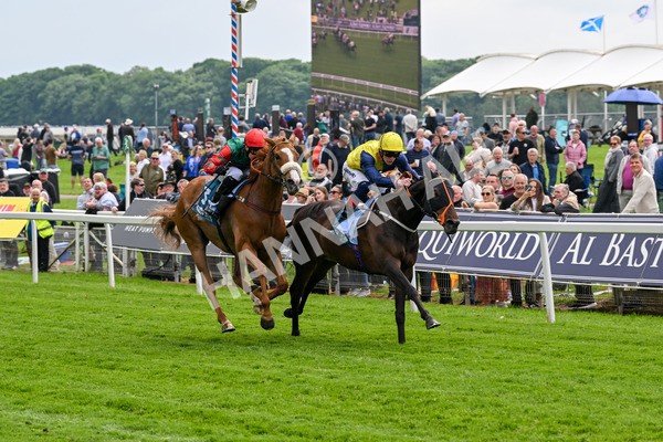 160524-Race 2-Point Lynas-5431 - Race 2 2.45pm Oakmere Homes Hambleton Handicap