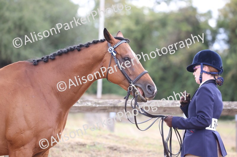 20260831-1934 - Class 5 - Retraining of Racehorses