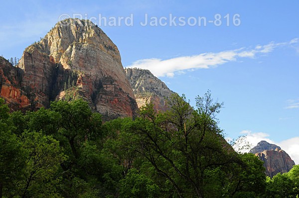 Image #5 - Zion National Pk.- 2011