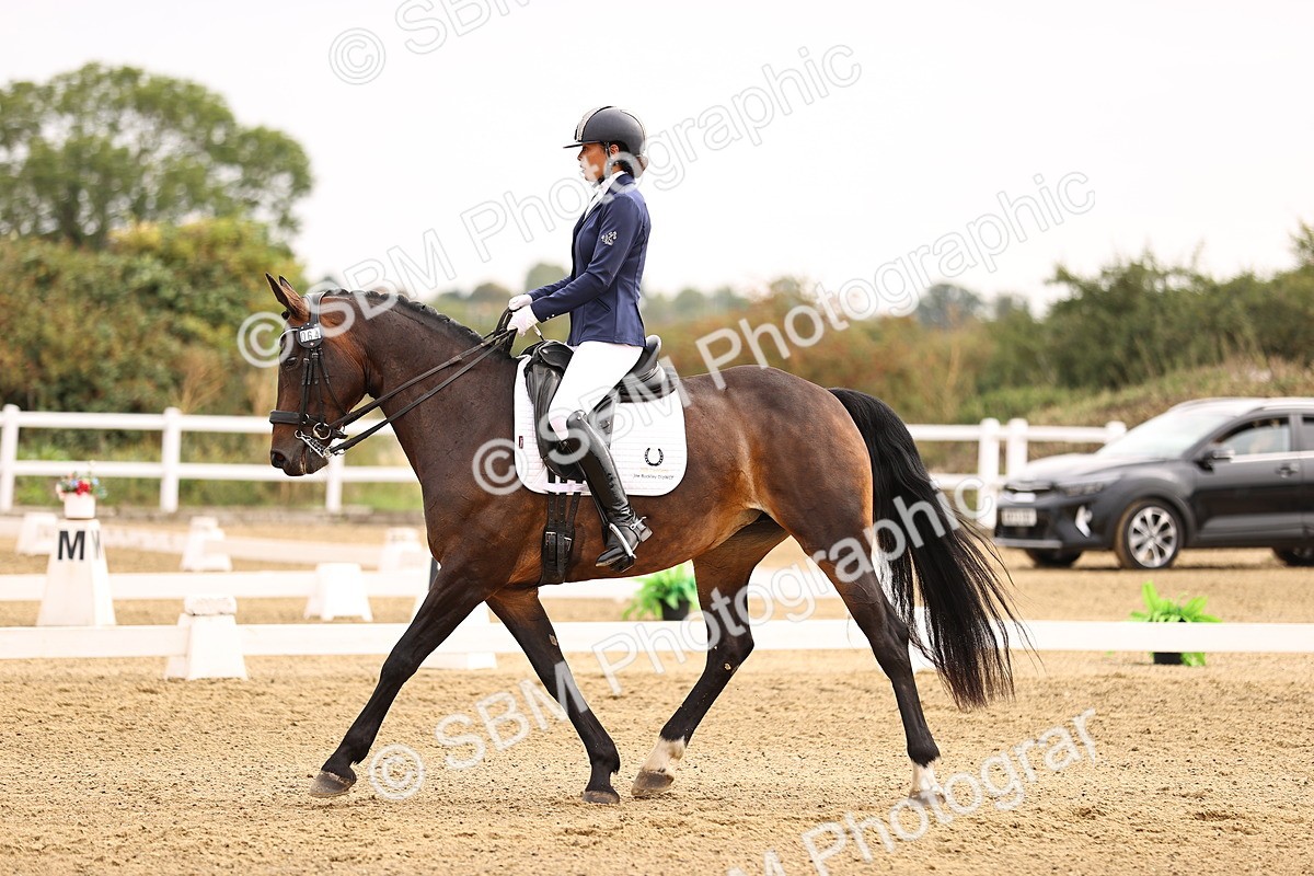 SBM_011599 - Class 1 - Medium 5