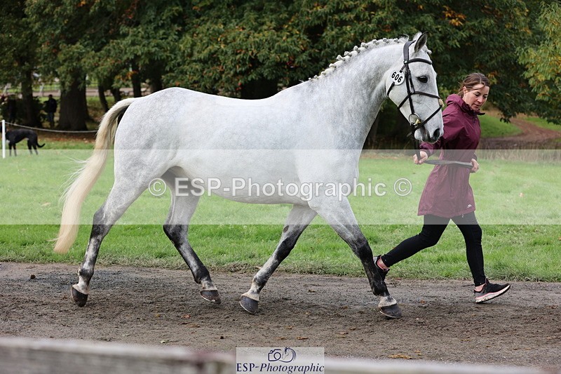 251026A-120125-25826 - H-606-Janine.Paterson