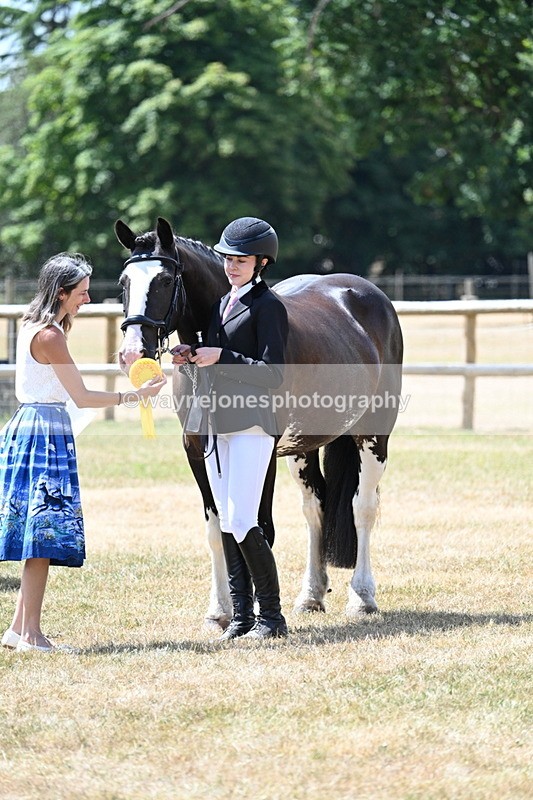 WJ7_2040 - Class 4a Prettiest Mare 14.2hh and over hand
