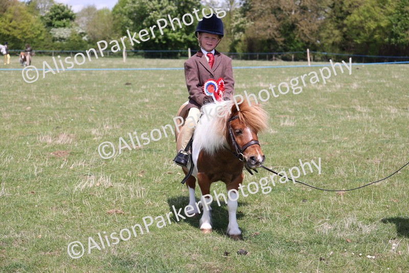 20250427-3329 - Small Pony Championship
