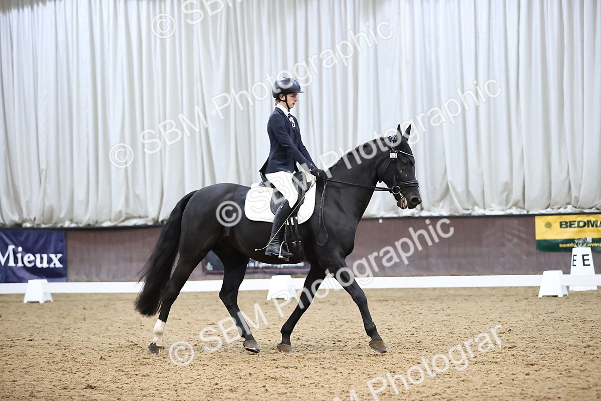 SBM_004330 - Intermediate