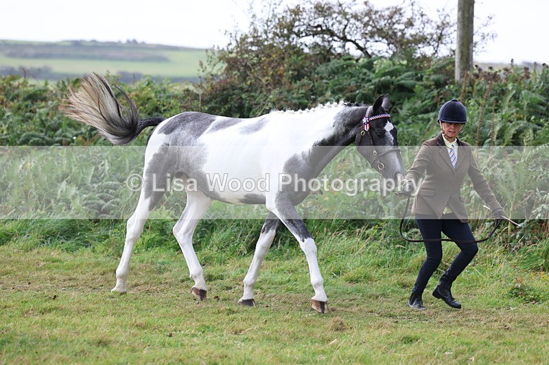 3E7A5362 - Class 19: Best Coloured in Hand