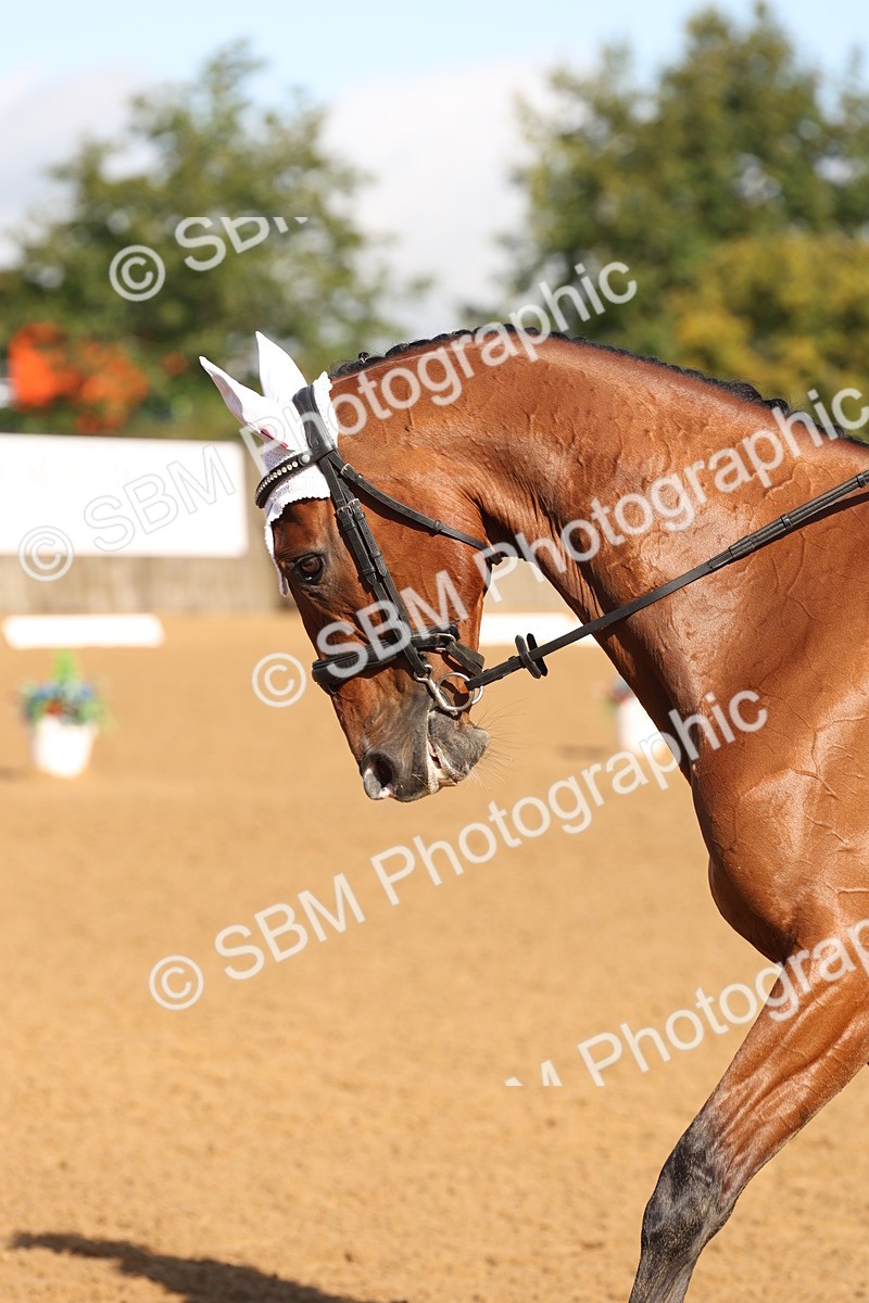 SBM_37623 - D18 - Grand Tour Championship Novice 2