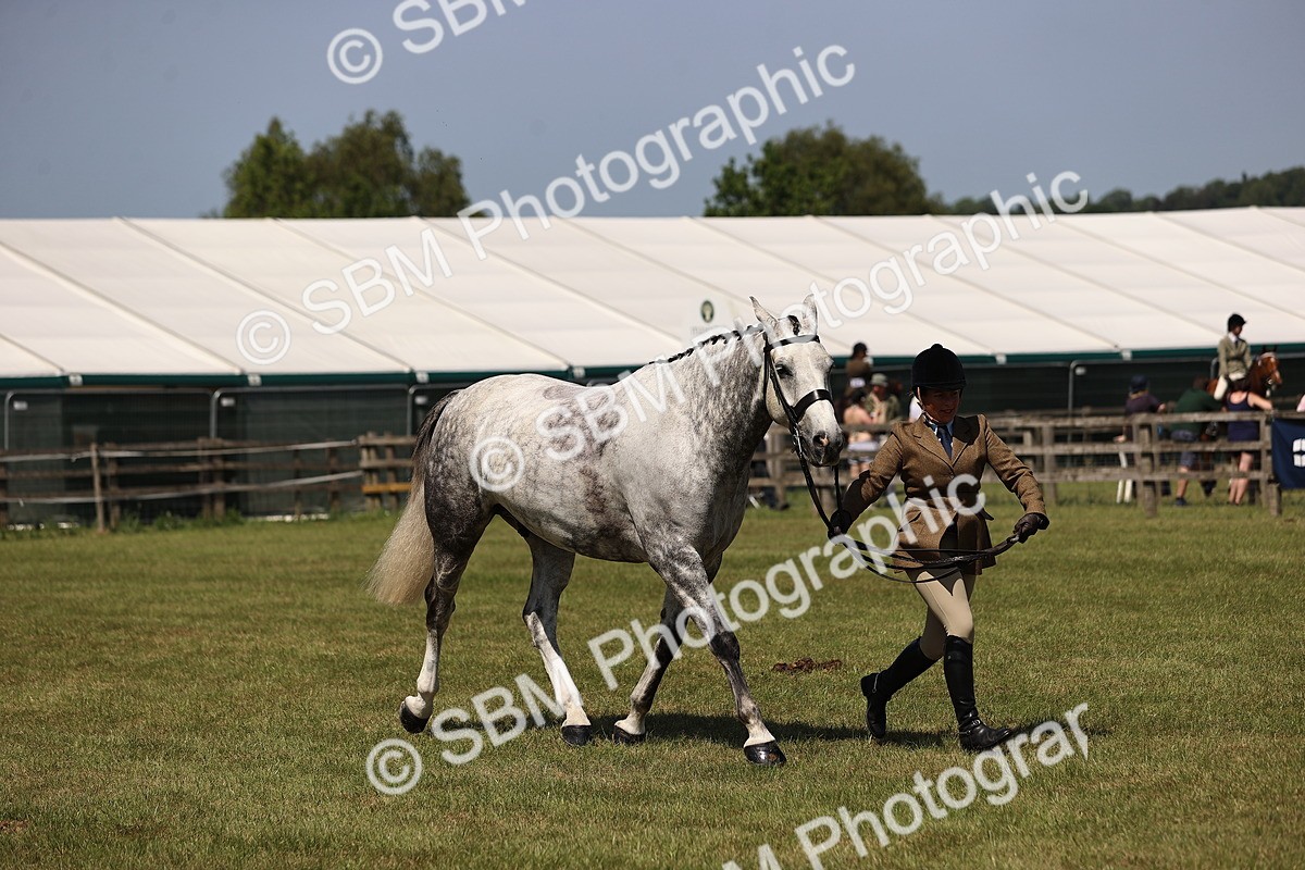 SBM_17768 - Class 81-83 - TSR Ridden Amateur of the Year - Horses