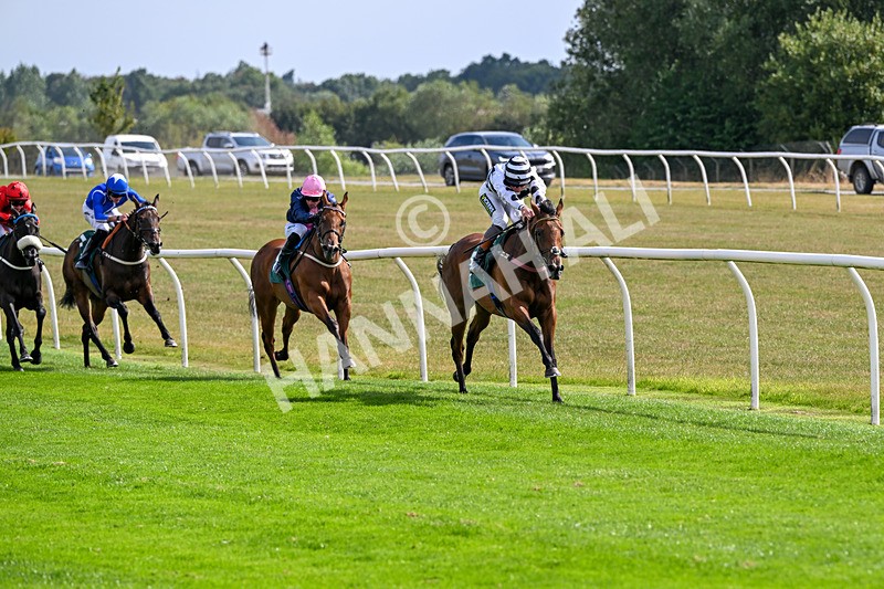 260826-Race 2-Lady Gormire-2348 - Race 2 14:45 Berber Leather Maiden Stakes