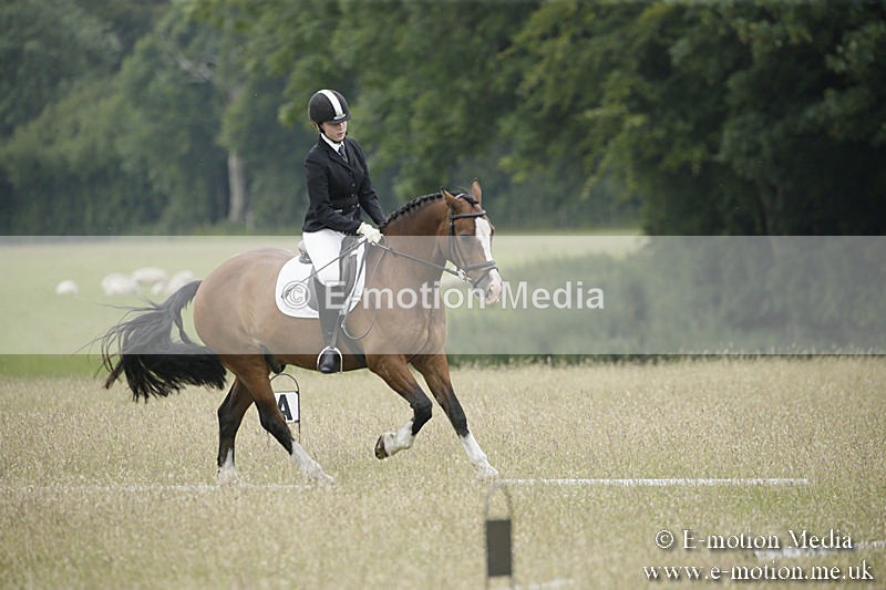 B230619-0667 - Bourne Valley Riding Club Summer Show 23/06/19