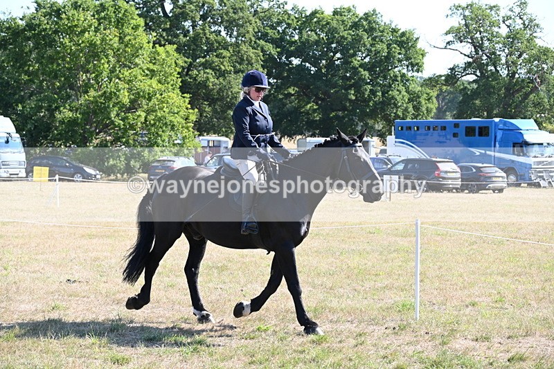 WJ6_7461 - Class 34 Judges Choice