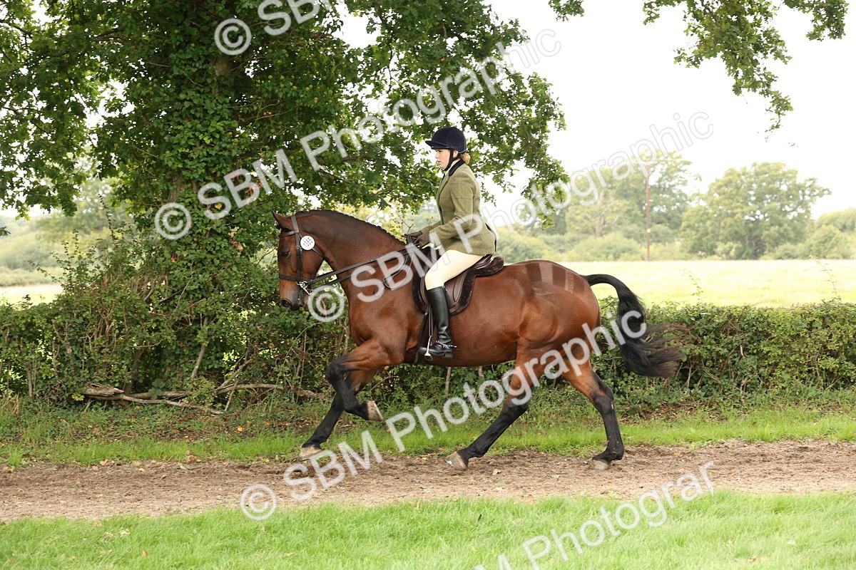 SBM_66352 - S66 - Hunter Ridden