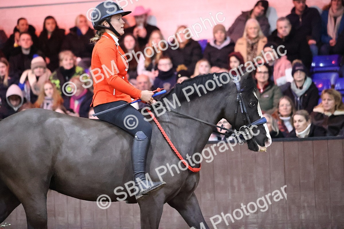SBM_006182 - Bareback Challenge Camera 2