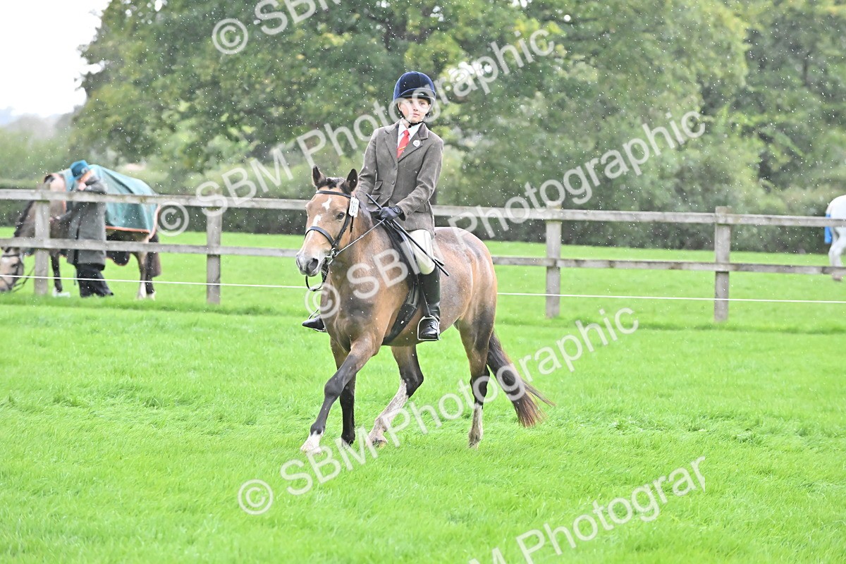 SBM_42942 - S12 - Family Horse & Pony