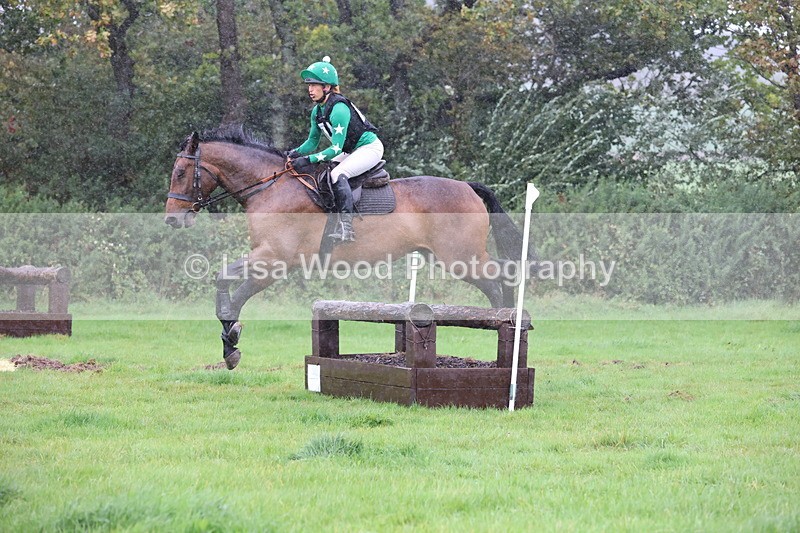 JPP_5416 - Class 4: 80cm: Crossed Logs