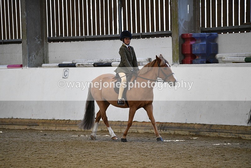 WJ5_5922 - Class 9 Ridden Veteran