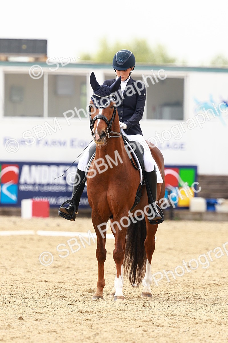 SBM_002729 - Class 12 - Medium 4