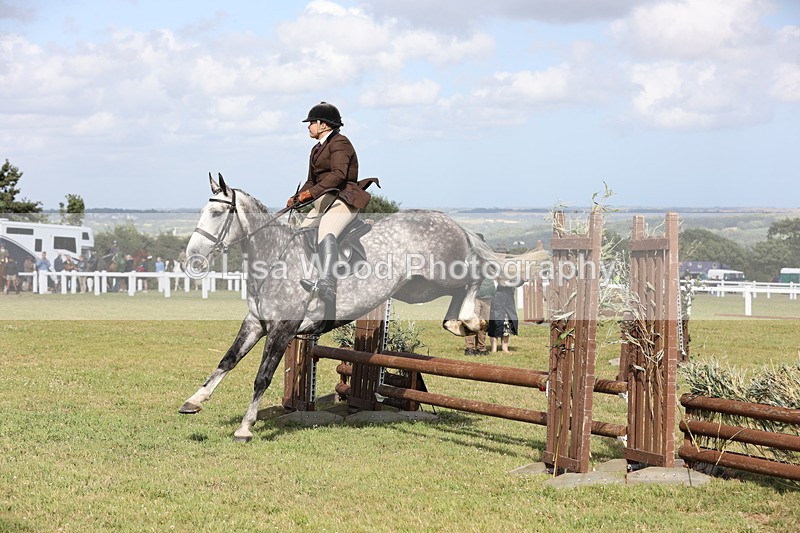 JPP_2676 - Class 20: Working Hunter 70cm