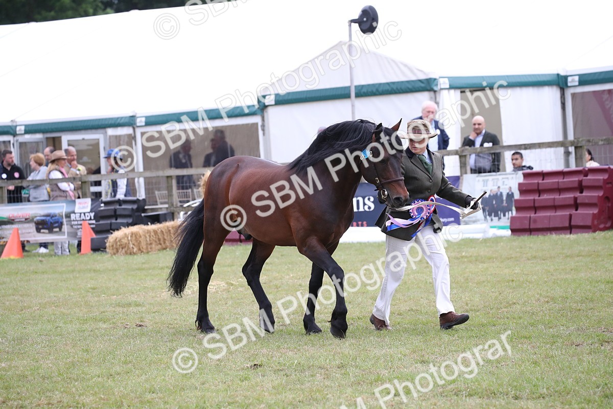 SBM_09830 - Ch 50 - Price Family Supreme In Hand