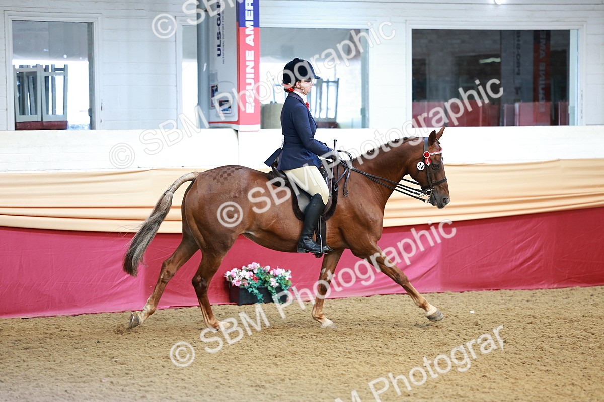 SBM_11930 - Class 102 - Equitation (Best Rider) Adult