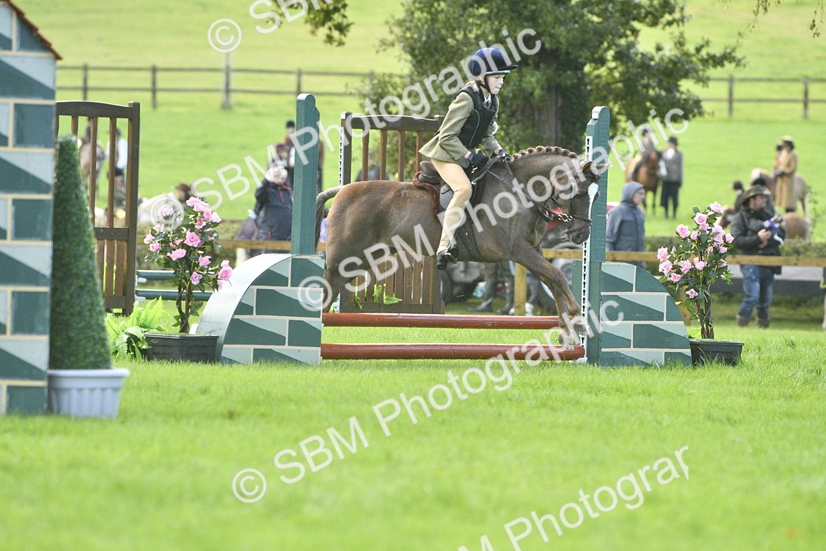 SBM_37189 - S31 - Novice & Newcomer Working Hunter Pony
