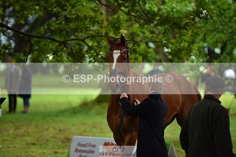 240522-163812-01050 - 215-RAMIRO_WANNABE-Finn_Healy