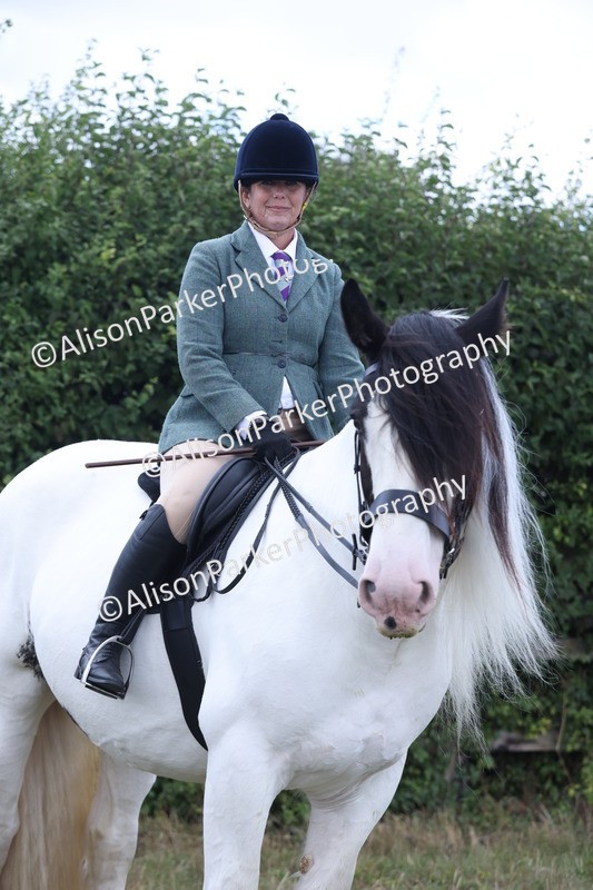 20250831-4302 - Class 20 - Ridden Coloured