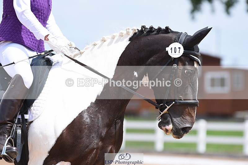 230702A-124700-09240 - Cls 21+23 Novice 28+34