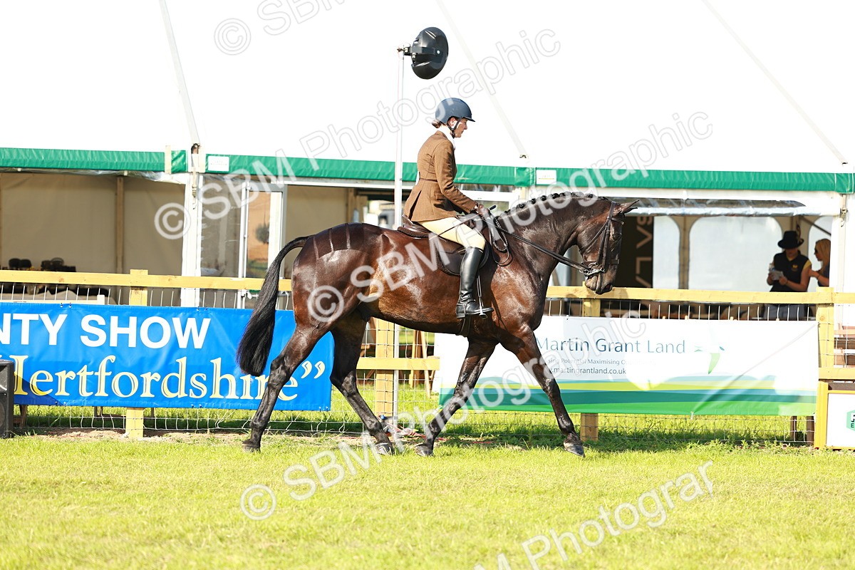 SBM_10872 - Class 66-69 - RIHS Ridden Hunters Inc Small Hunter