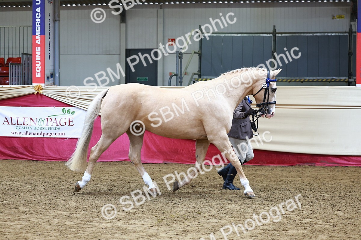 SBM_22131 - Class 902 - Supreme Final - IH Diamond