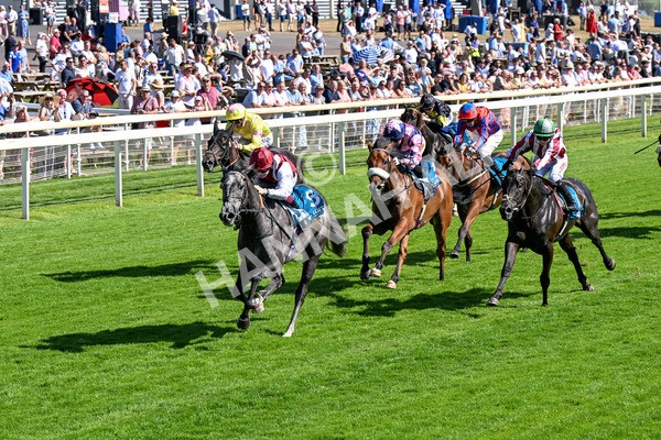 110725-Race 5-Mahras Love-0420 - Race 5 4.32pm Laura Barry Memorial Handicap