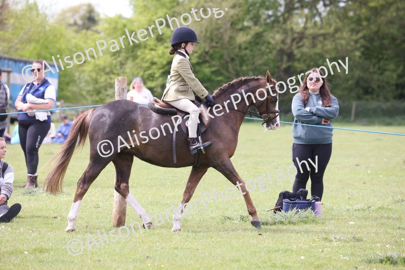 20260426-2928 - Class 33 - Best Pony 14.2hh and Under