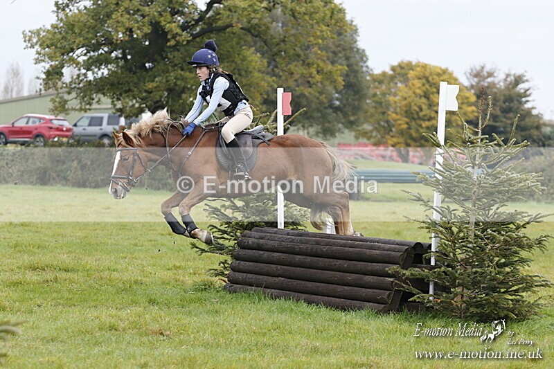 WWHT 181020 WWHT 181020 628 - WWEC Open Novice (0.80m) 18/10/20