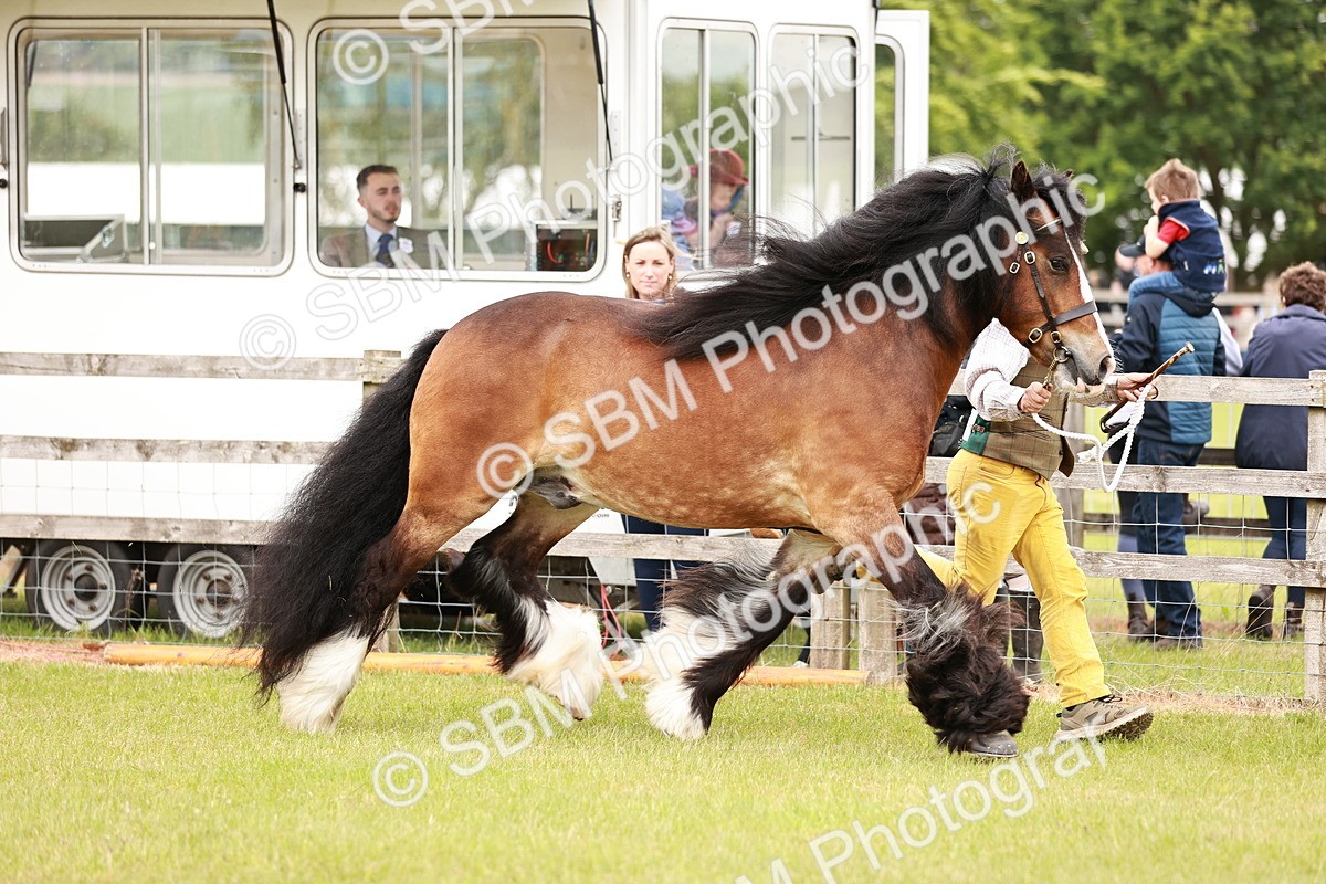SBM_06015 - Class 39-41 TGCA In Hand and Ridden
