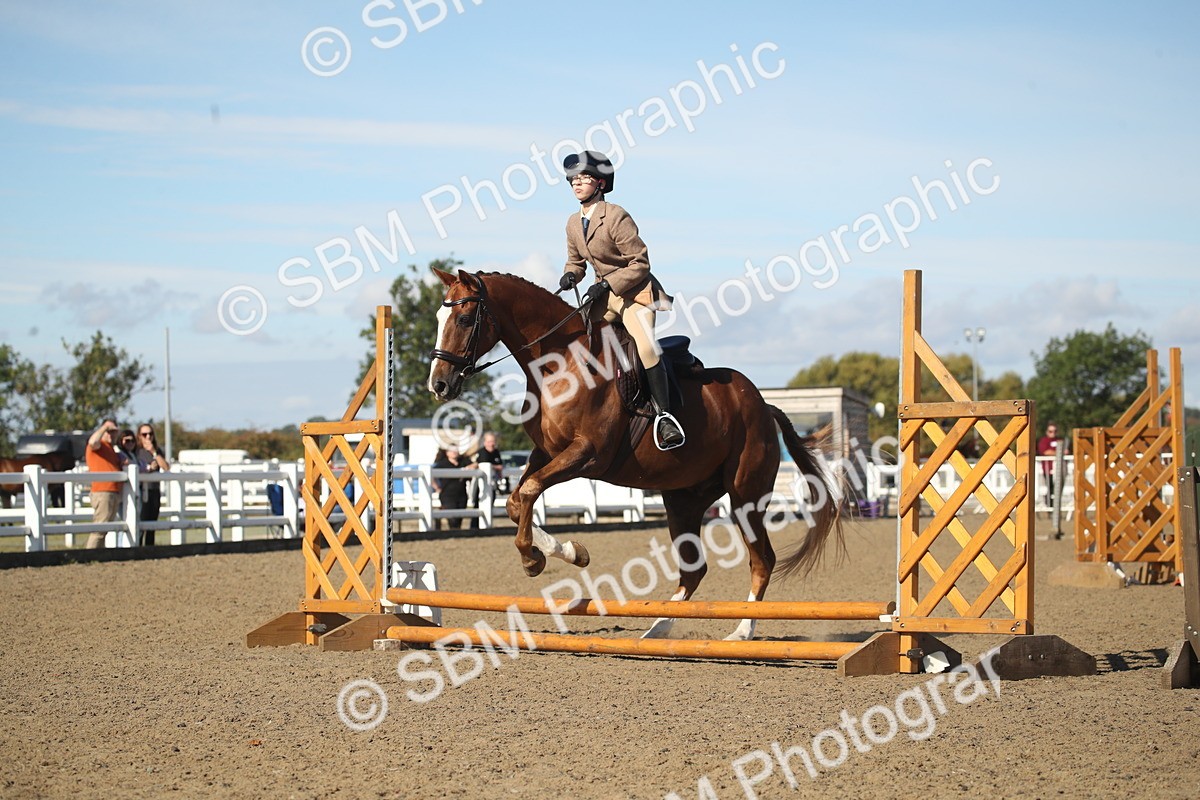 SBM_12715 - Class 504b - Junior Working Veteran - 40cm (20+)