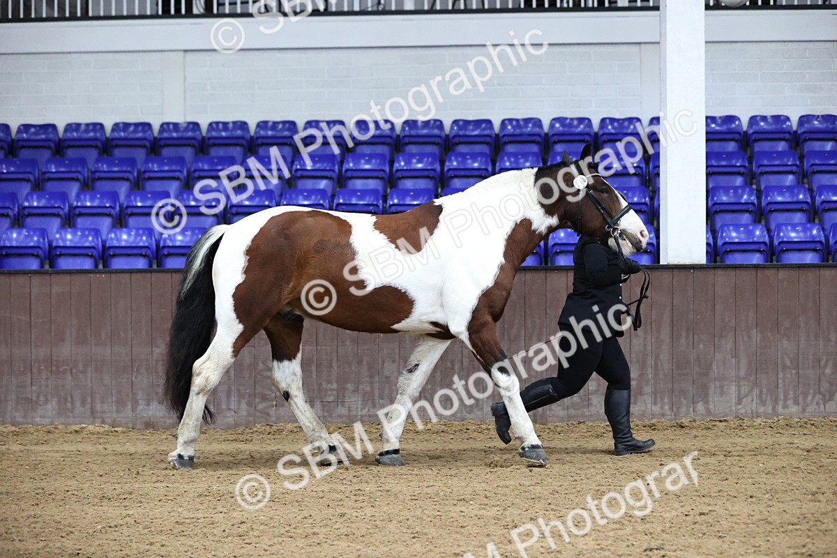 SBM_5261 - Class 32 - In Hand Cob Type