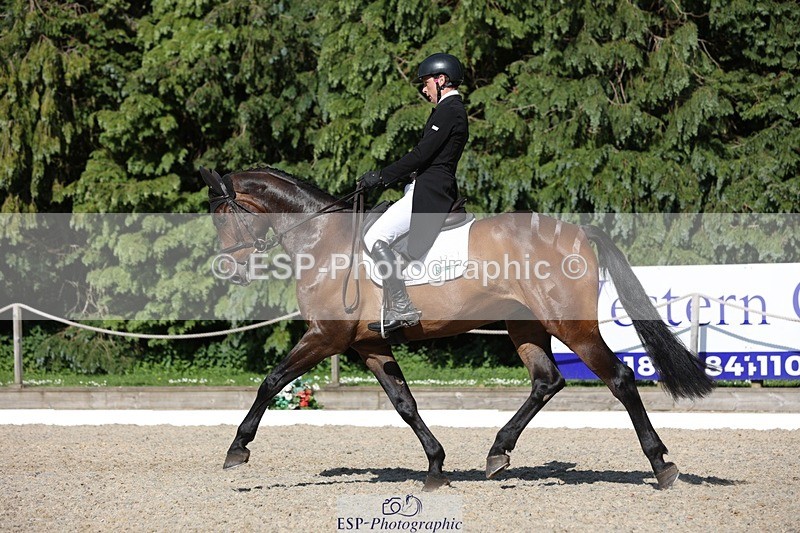 230526-165939-07882 - 174-LANCELOT_BMG-Alfie_Marshall-WEDTrotUp+DR