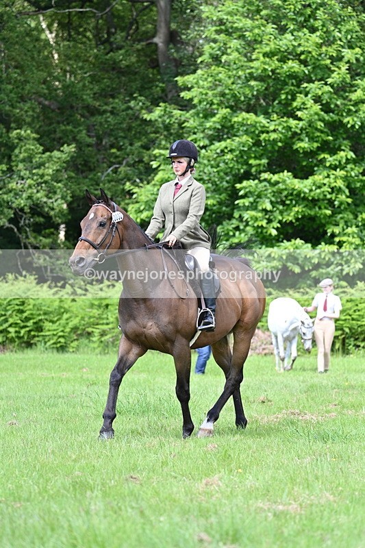 WJ7_1273 - Class 11 Condition & Turnout