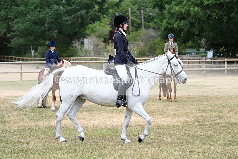 WJ7_0589 - Class 2 Best rider
