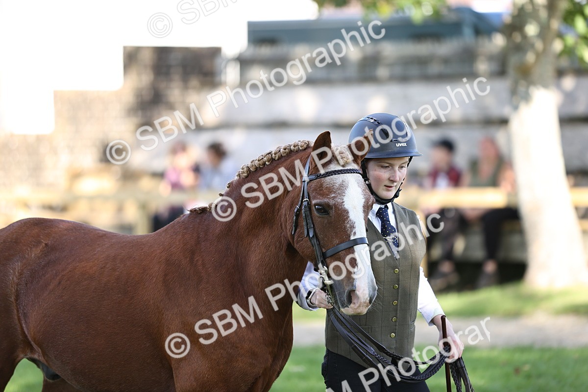 SBM_26220 - S5 - Novice & Newcomers In Hand