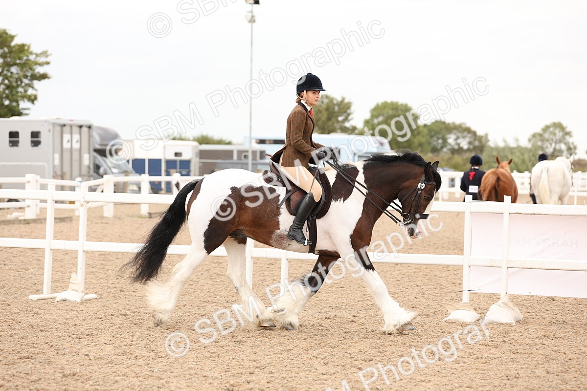 SBM_19651 - Class 216 - Ridden Traditional - Native Cob