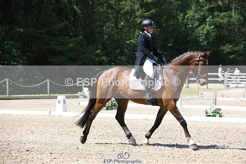 230526-113620-06083 - 154-GELUK_G-Molly_Adams-WEDTrotUp+DR
