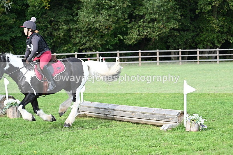 WJ7_3698 - 40cm Time 10:26 to 10:42