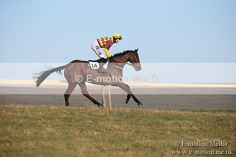 PtP 230219 612 - Vine & Craven Point-To-Point - Barbury 23/02/19